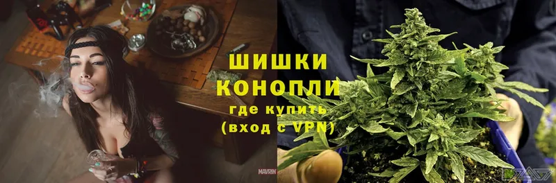 МЕГА ссылки  Всеволожск  Бошки марихуана THC 21% 